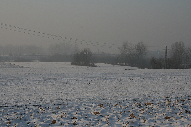 drugi dzien swiat 12.2007 002
